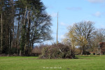 hout voor paasvuur verzamelen